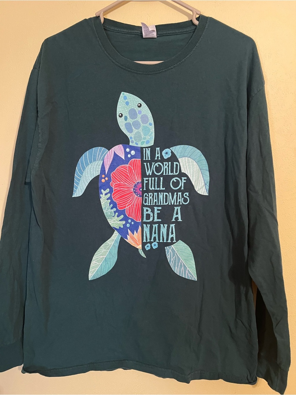 Fruit of the Loom Teal Long-Sleeve Top with Colorful Sea Turtle Graphic